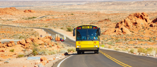 professional-bus-driver